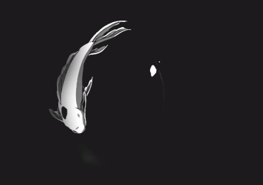 Black and White Gif Gallery