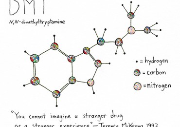 Documentary: DMT: The Spirit Molecule.