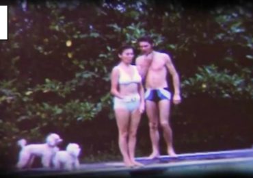 Watch the Calm and Satisfying Video for Catz'n Dogz "Elixir"