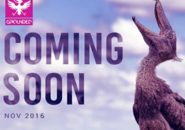 Grounded Festival Israel