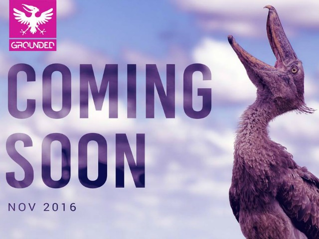 Grounded Festival Israel